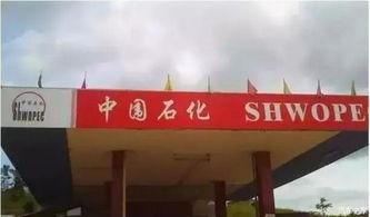 济宁加油站爆料案件最新,真相揭露与法律追责并行  第2张