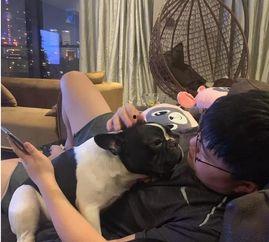 二狗子邻居爆料视频,邻里纠纷背后的惊人真相